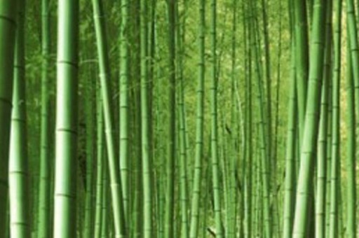 这就是街舞十大实力选手排行榜2025年排名前十名榜单出炉
