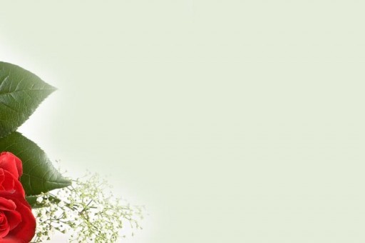 抗衰老食物排行榜2025特别新排名前十名分析
