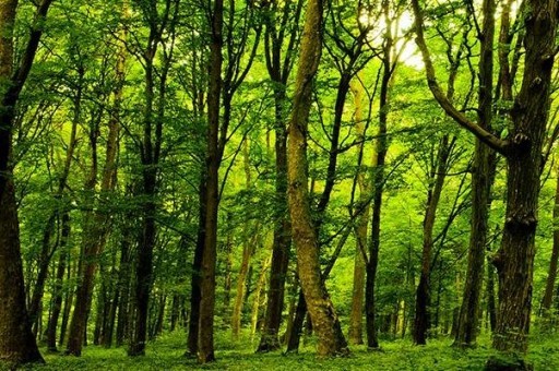 球坛十大中卫排行榜2025特别新排名前十名分析