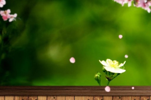 特别性感的唇膏排行榜2025特别新排名前十名分析