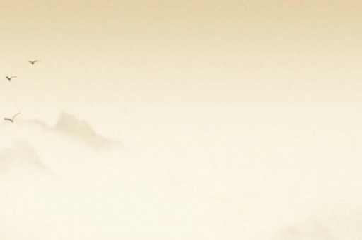 布衣柜哪个牌子好2025近期排名前十名分析