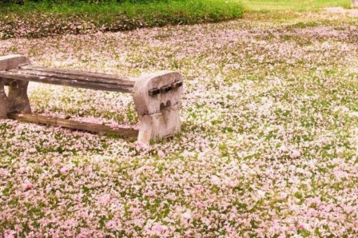 广东春节旅游十大好玩景点2025年排名前十名榜单出炉