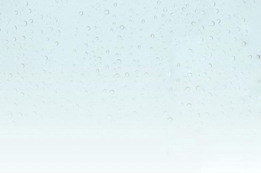 动物界速度之王的十大排名2025最新排名前十名榜单出炉
