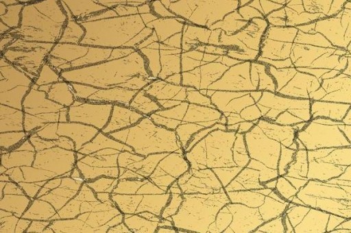 世界十大小提琴家排行榜2025最新排名前十名榜单出炉