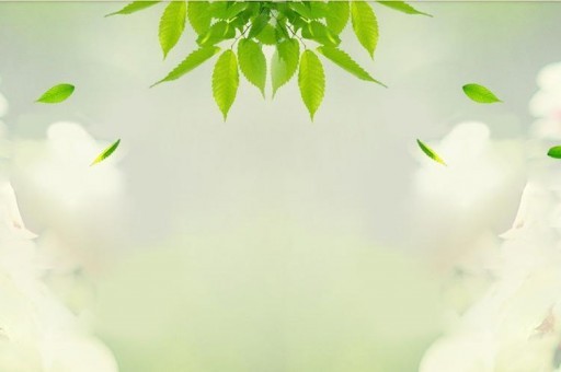 硅胶奶瓶哪个牌子好2025近期排名前十名分析