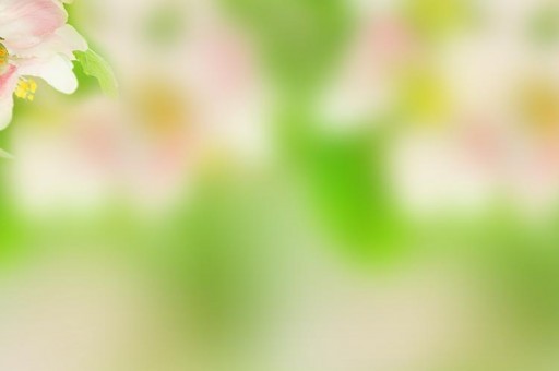 十大植物染发剂品牌排行榜