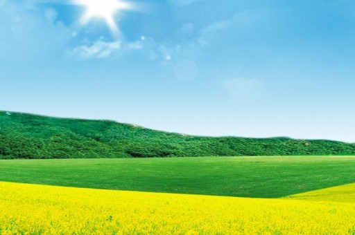 雨刷十大品牌排行榜2025近期排名前十名分析