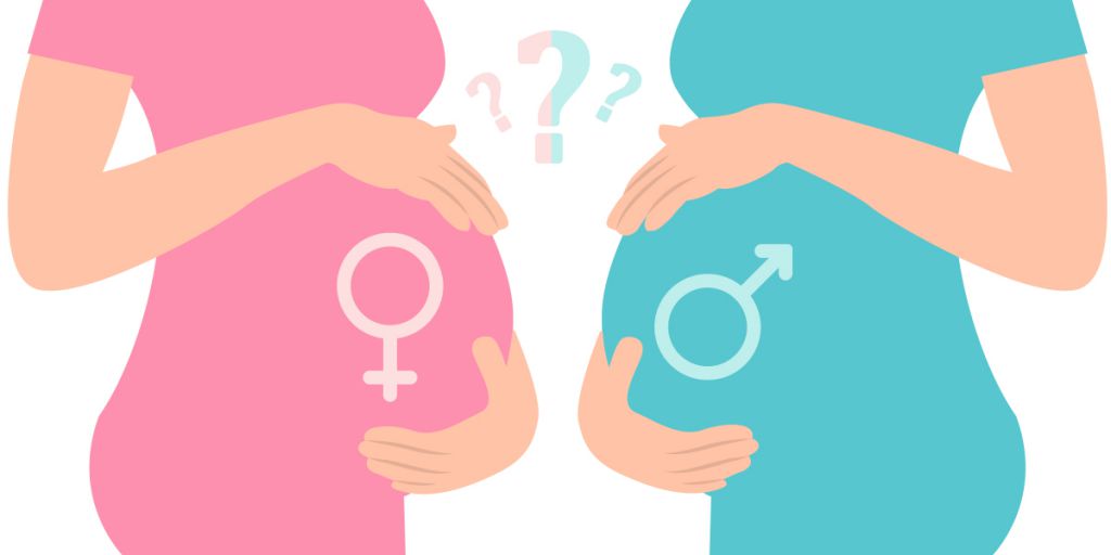 怎么判断怀的男孩女孩才准确