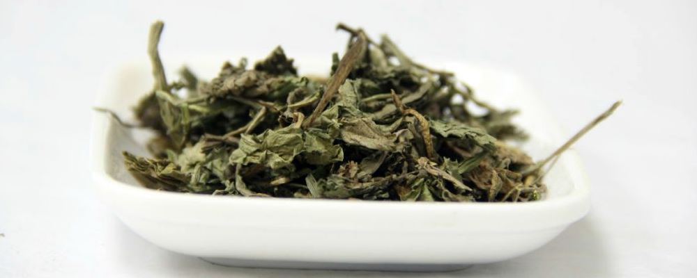 产后能喝蒲公英水吗